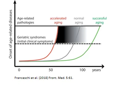 Grafico che mette a confronto tre traiettorie di invecchiamento: accelerated aging in rosso, normal aging in grigio e successful aging in verde.