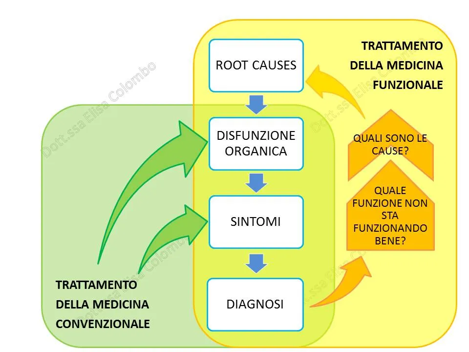 Schema a colori che confronta l'approccio della medicina convenzionale con quello della medicina funzionale: la catena root causes, disfunzione organica, sintomi, diagnosi, con le domande quali sono le cause e quale funzione non sta funzionando bene